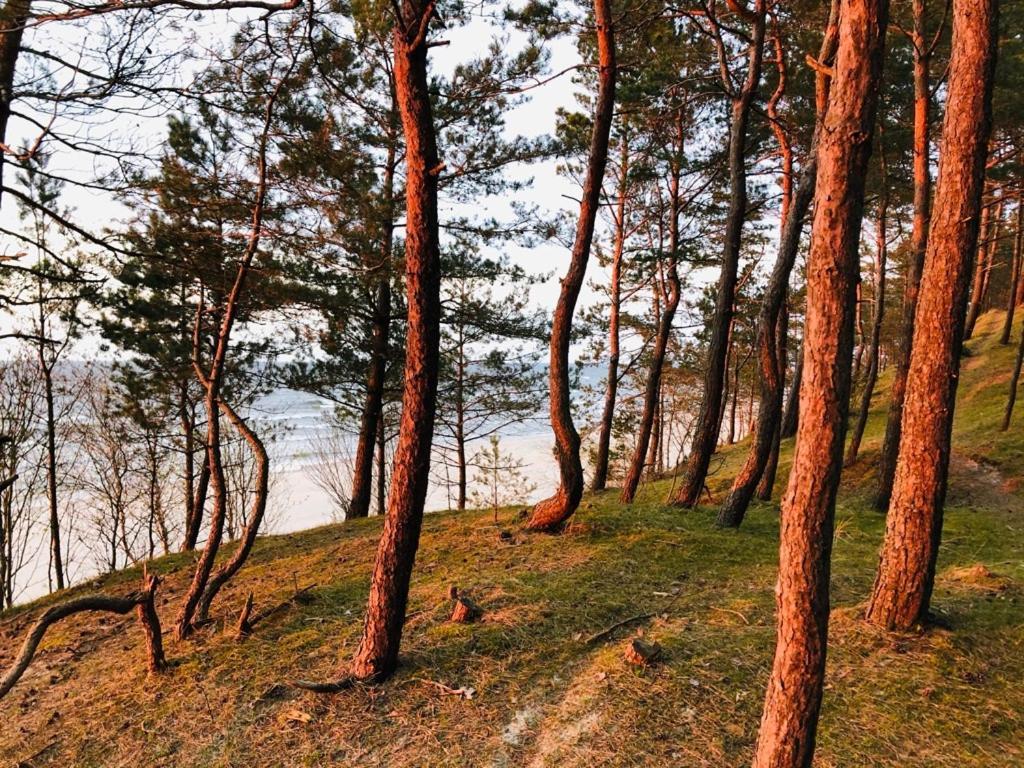 Domki Skowronki Kąty Rybackie 외부 사진